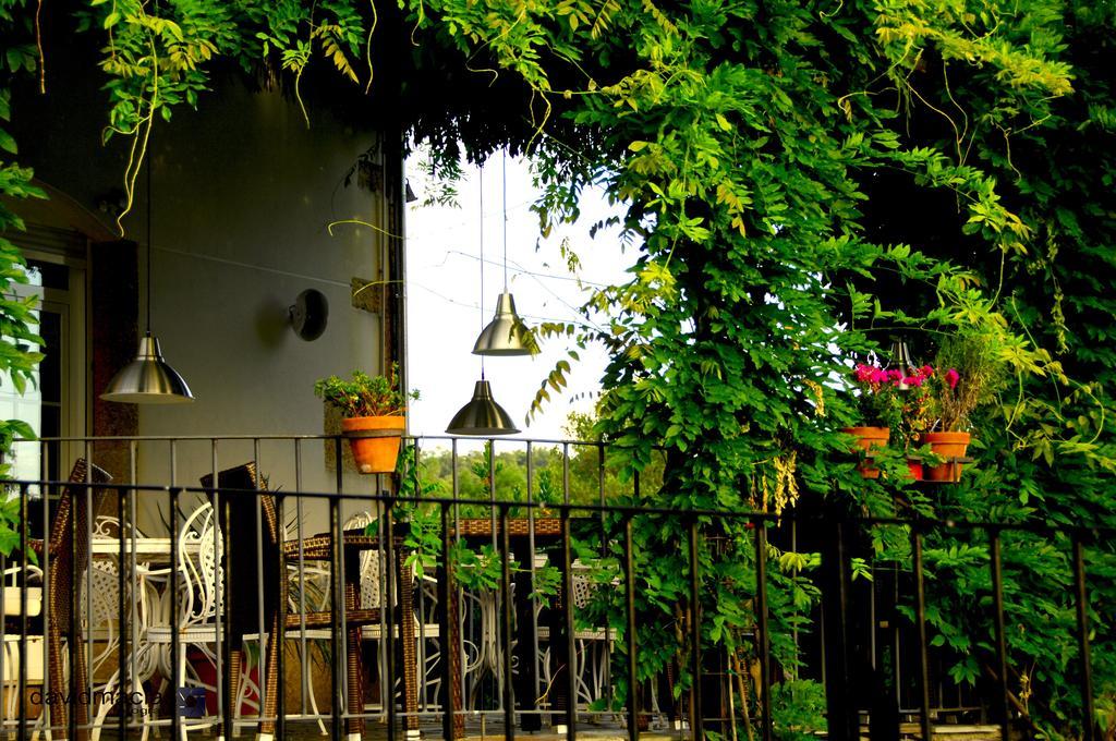 Almazara De San Pedro (Adults Only) Casa de hóspedes Eljas Exterior foto