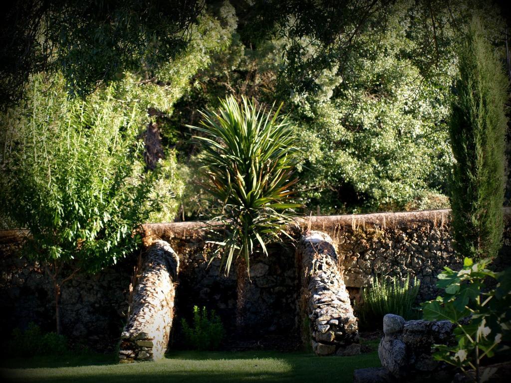 Almazara De San Pedro (Adults Only) Casa de hóspedes Eljas Exterior foto